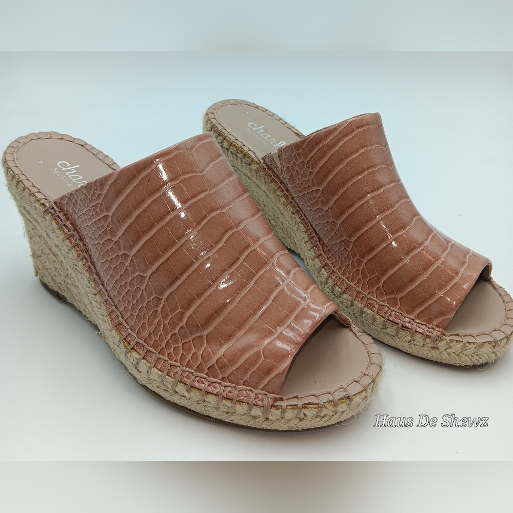 Charles David Platform Wedge Sandals Size 8.5